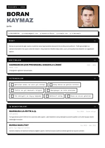  cv indir